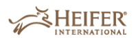 Heifer logo